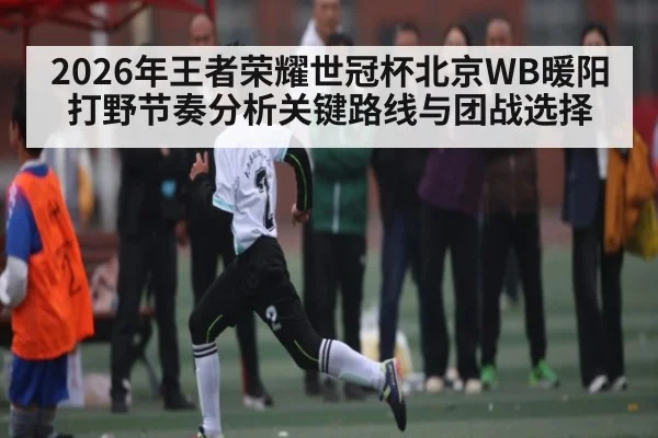 2026年王者荣耀世冠杯北京WB暖阳打野节奏分析关键路线与团战选择